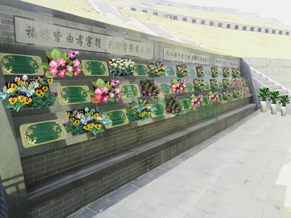 壹号娱乐 - NG大舞台,有梦你就来