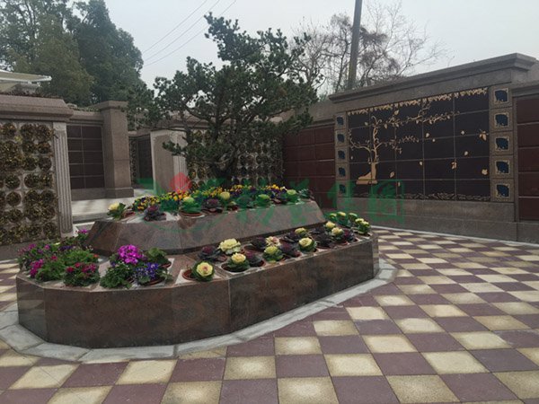 壹号娱乐 - NG大舞台,有梦你就来