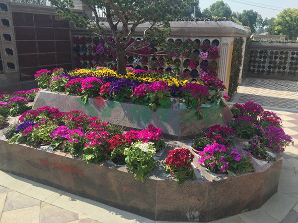 壹号娱乐 - NG大舞台,有梦你就来