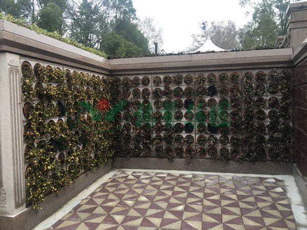 壹号娱乐 - NG大舞台,有梦你就来