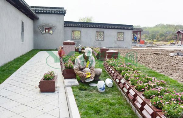 壹号娱乐 - NG大舞台,有梦你就来