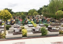 上；懔靶腔鹎