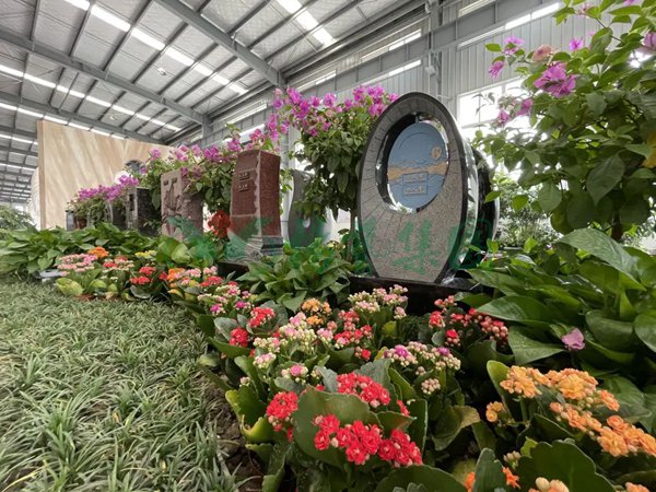 壹号娱乐 - NG大舞台,有梦你就来