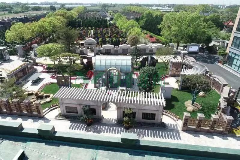 壹号娱乐 - NG大舞台,有梦你就来