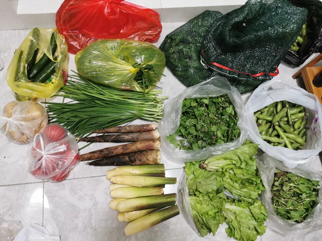 壹号娱乐 - NG大舞台,有梦你就来