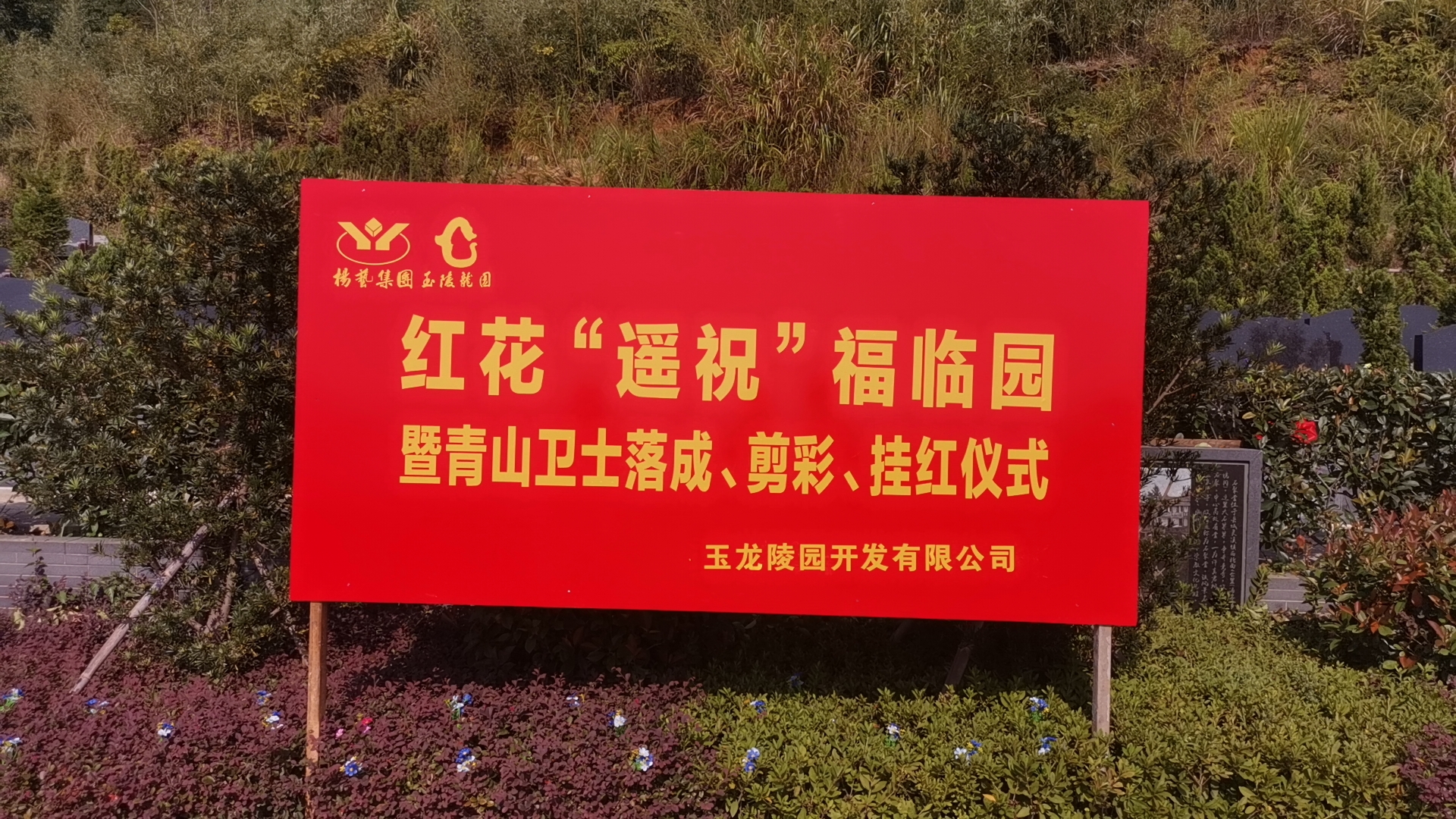 红花传爱意，情满玉龙园！