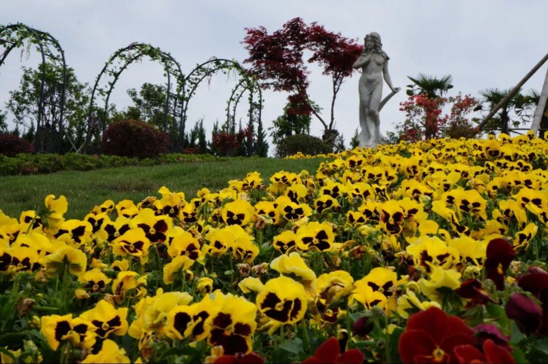 壹号娱乐 - NG大舞台,有梦你就来