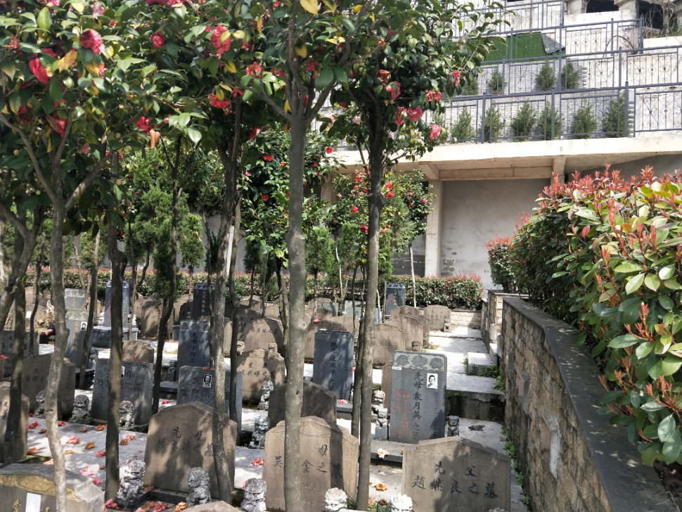 壹号娱乐 - NG大舞台,有梦你就来