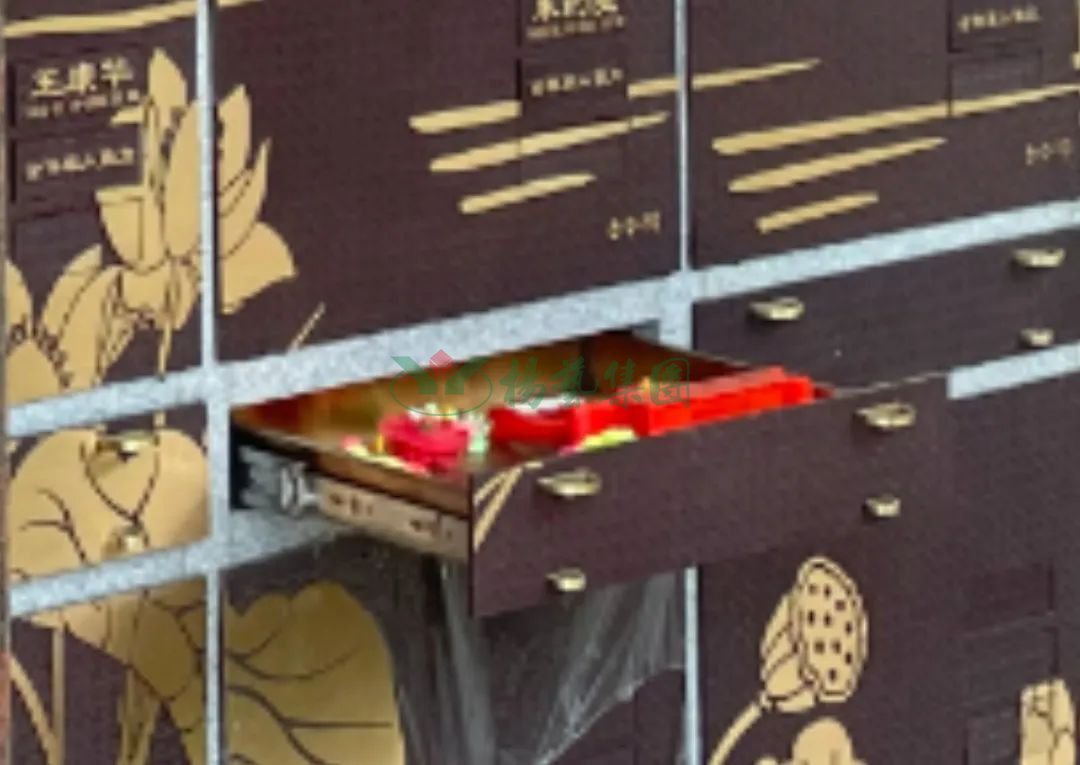 壹号娱乐 - NG大舞台,有梦你就来