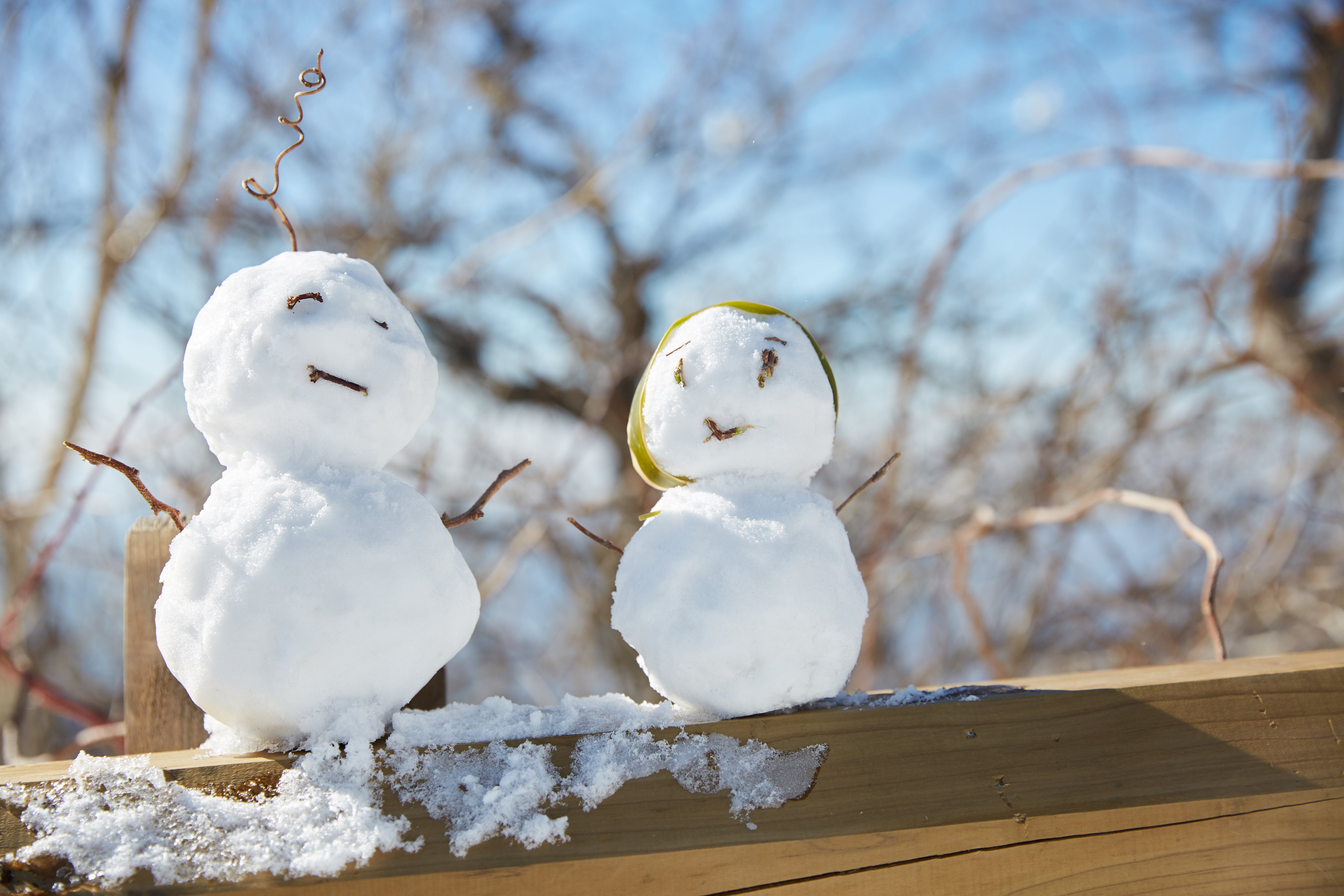 冬至，暖“杨”相伴 | 壹号娱乐人全力共同各墓园冬至落葬