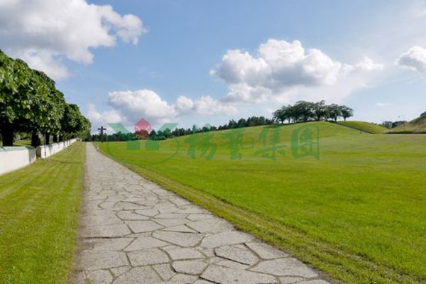 壹号娱乐 - NG大舞台,有梦你就来