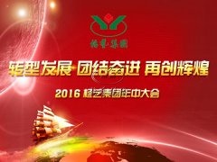 【2016年壹号娱乐年中会在召开中~】全员充电培训