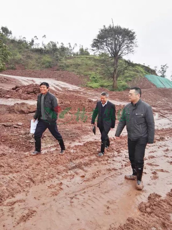 壹号娱乐 - NG大舞台,有梦你就来