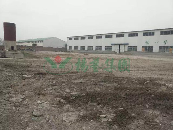 壹号娱乐 - NG大舞台,有梦你就来