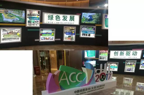 壹号娱乐 - NG大舞台,有梦你就来