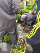 【壹号娱乐人别样清明】2018年清明落葬工作圆满实现