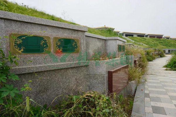 壹号娱乐 - NG大舞台,有梦你就来