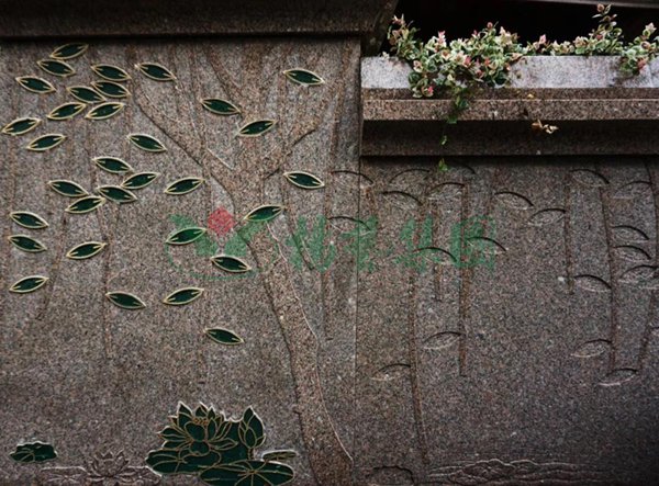 壹号娱乐 - NG大舞台,有梦你就来