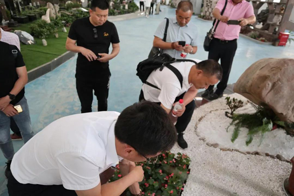 壹号娱乐 - NG大舞台,有梦你就来