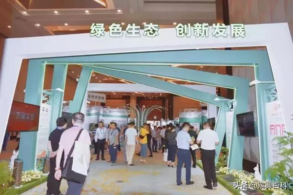 壹号娱乐 - NG大舞台,有梦你就来