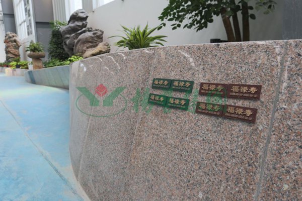 壹号娱乐 - NG大舞台,有梦你就来