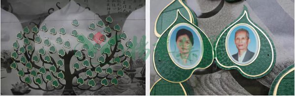 壹号娱乐 - NG大舞台,有梦你就来