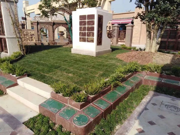 壹号娱乐 - NG大舞台,有梦你就来