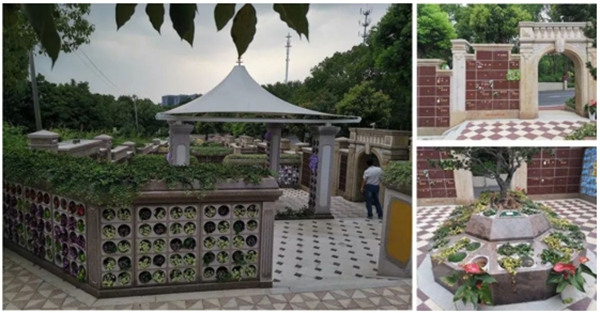 壹号娱乐 - NG大舞台,有梦你就来