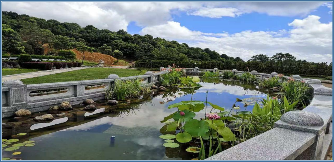 壹号娱乐 - NG大舞台,有梦你就来