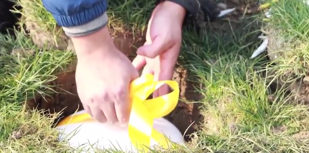 壹号娱乐 - NG大舞台,有梦你就来