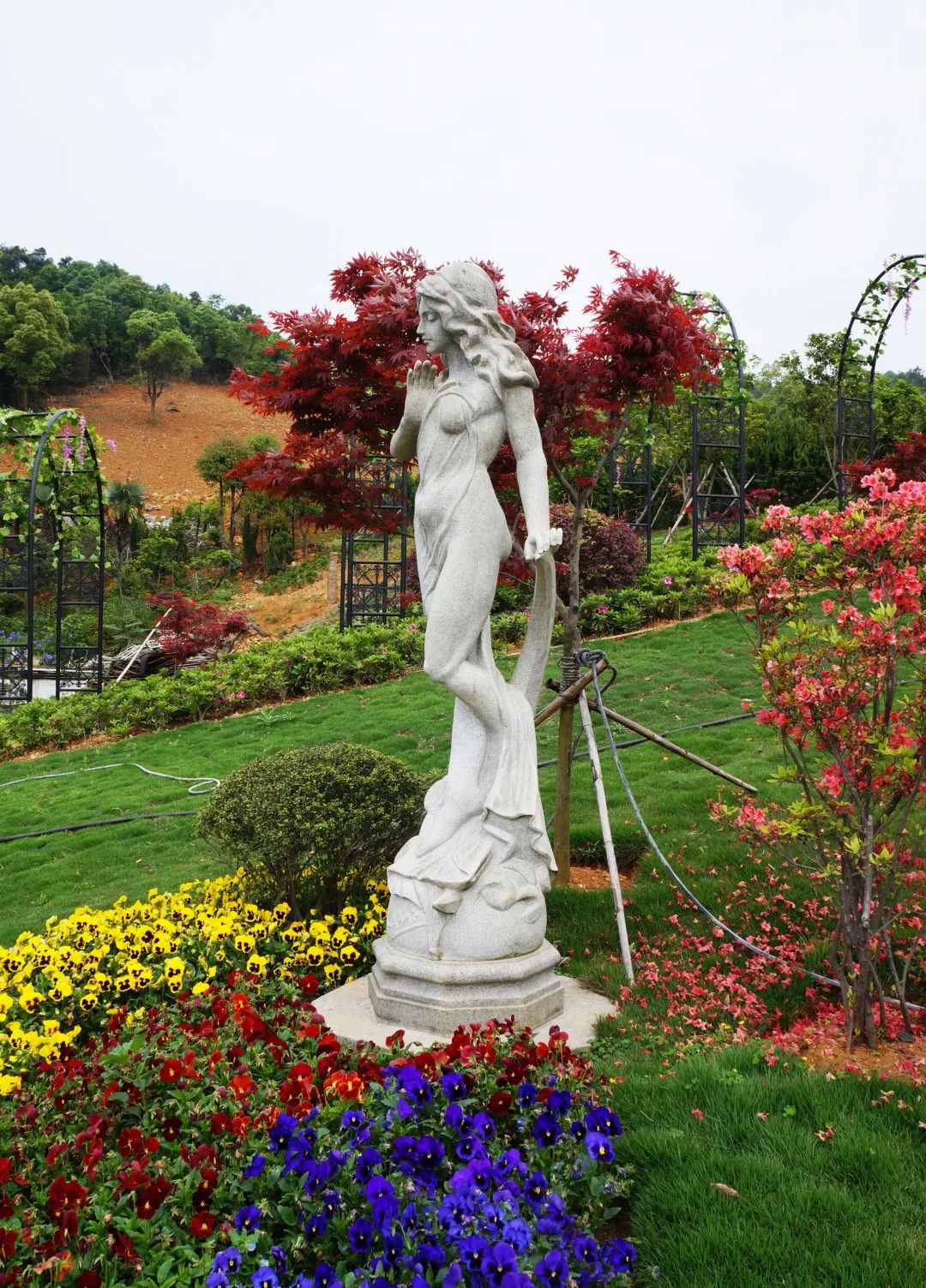 壹号娱乐 - NG大舞台,有梦你就来