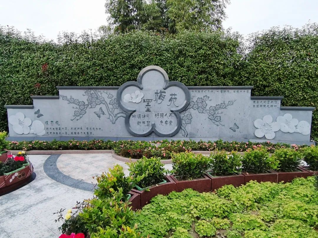 壹号娱乐 - NG大舞台,有梦你就来