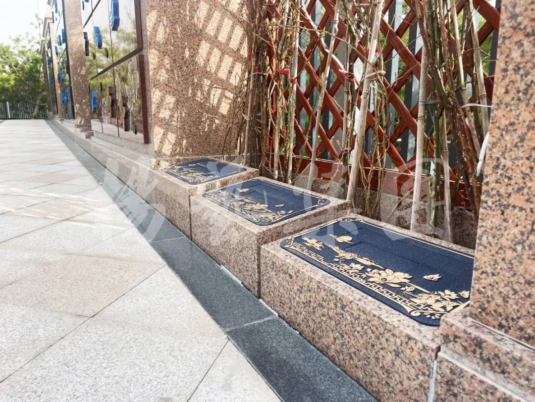 壹号娱乐 - NG大舞台,有梦你就来