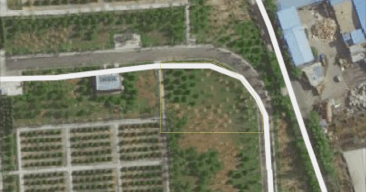 壹号娱乐 - NG大舞台,有梦你就来