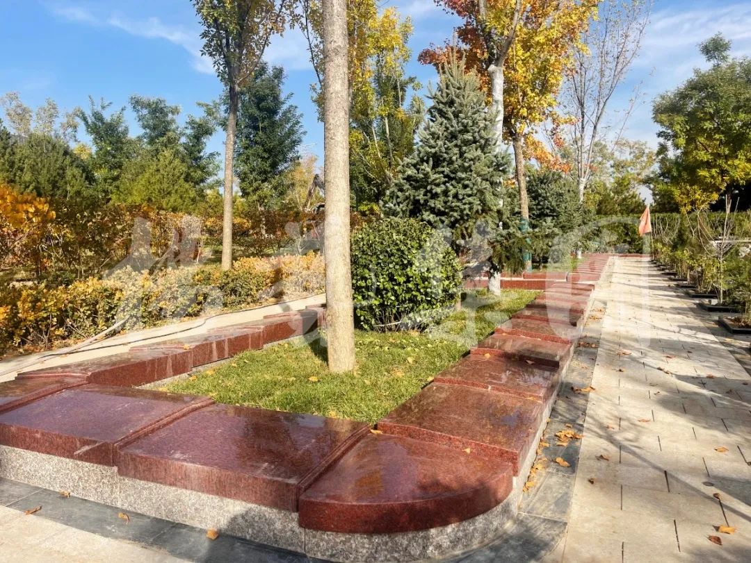 壹号娱乐 - NG大舞台,有梦你就来