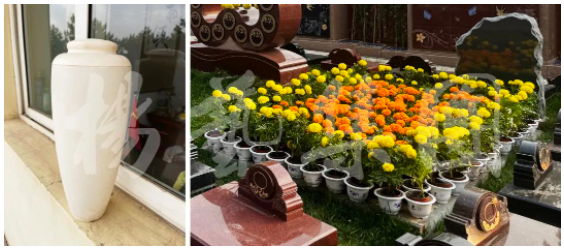 壹号娱乐 - NG大舞台,有梦你就来