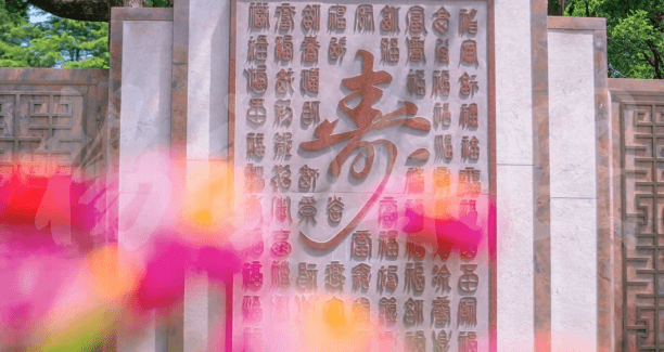 壹号娱乐 - NG大舞台,有梦你就来