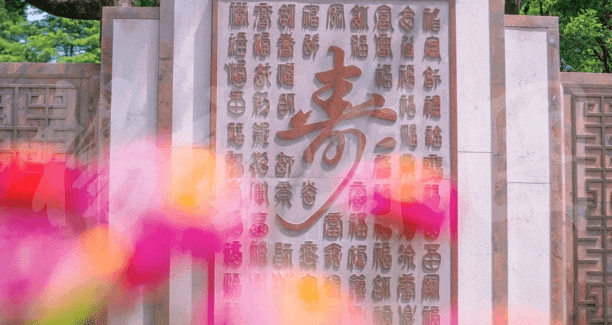 壹号娱乐 - NG大舞台,有梦你就来