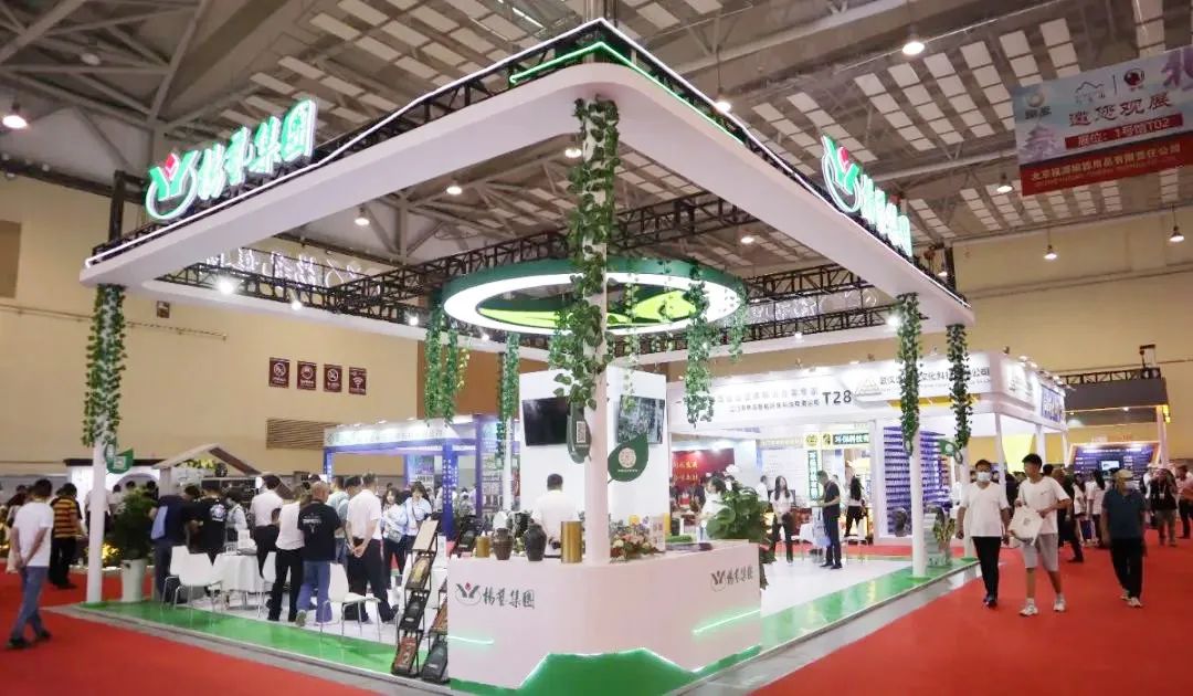 壹号娱乐 - NG大舞台,有梦你就来