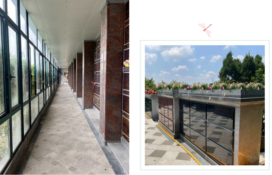 壹号娱乐 - NG大舞台,有梦你就来