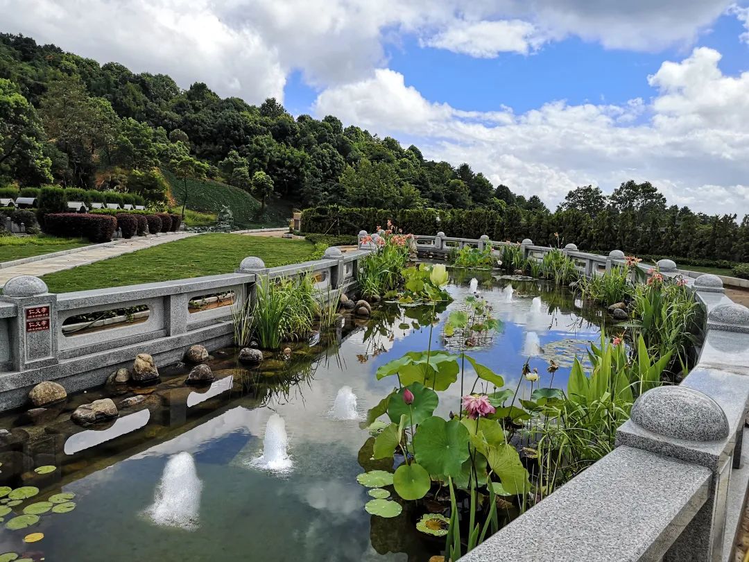 壹号娱乐 - NG大舞台,有梦你就来