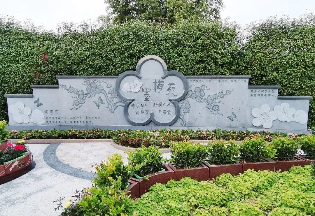 壹号娱乐 - NG大舞台,有梦你就来