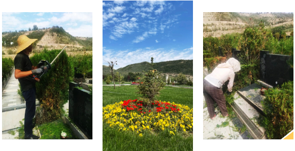 壹号娱乐 - NG大舞台,有梦你就来