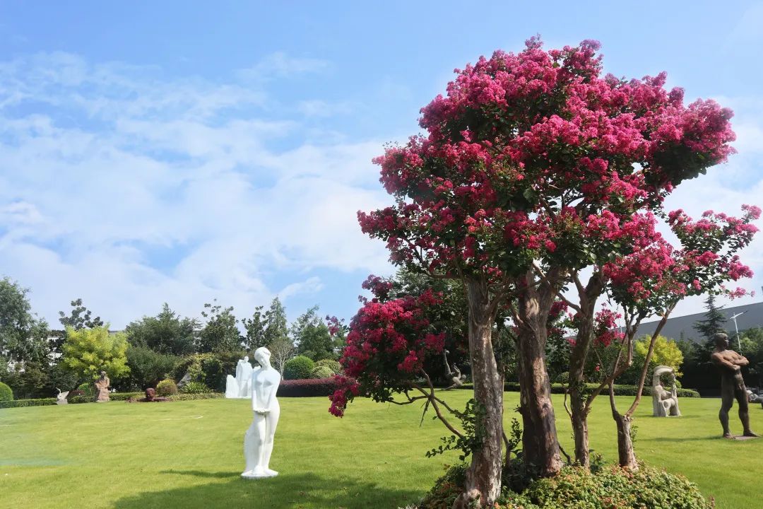 壹号娱乐 - NG大舞台,有梦你就来