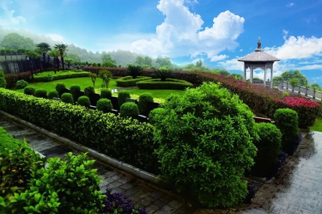 壹号娱乐 - NG大舞台,有梦你就来