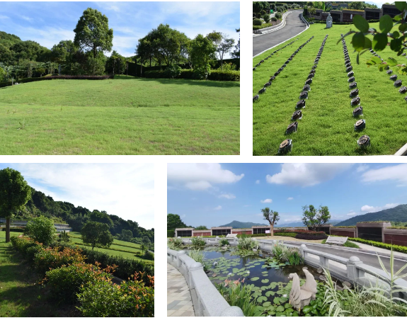 壹号娱乐 - NG大舞台,有梦你就来