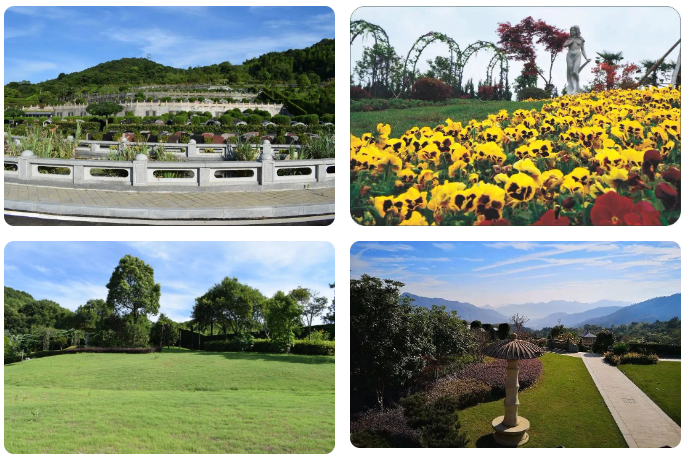 壹号娱乐 - NG大舞台,有梦你就来