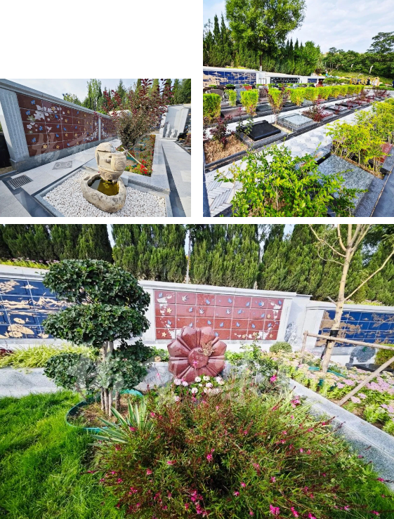 壹号娱乐 - NG大舞台,有梦你就来