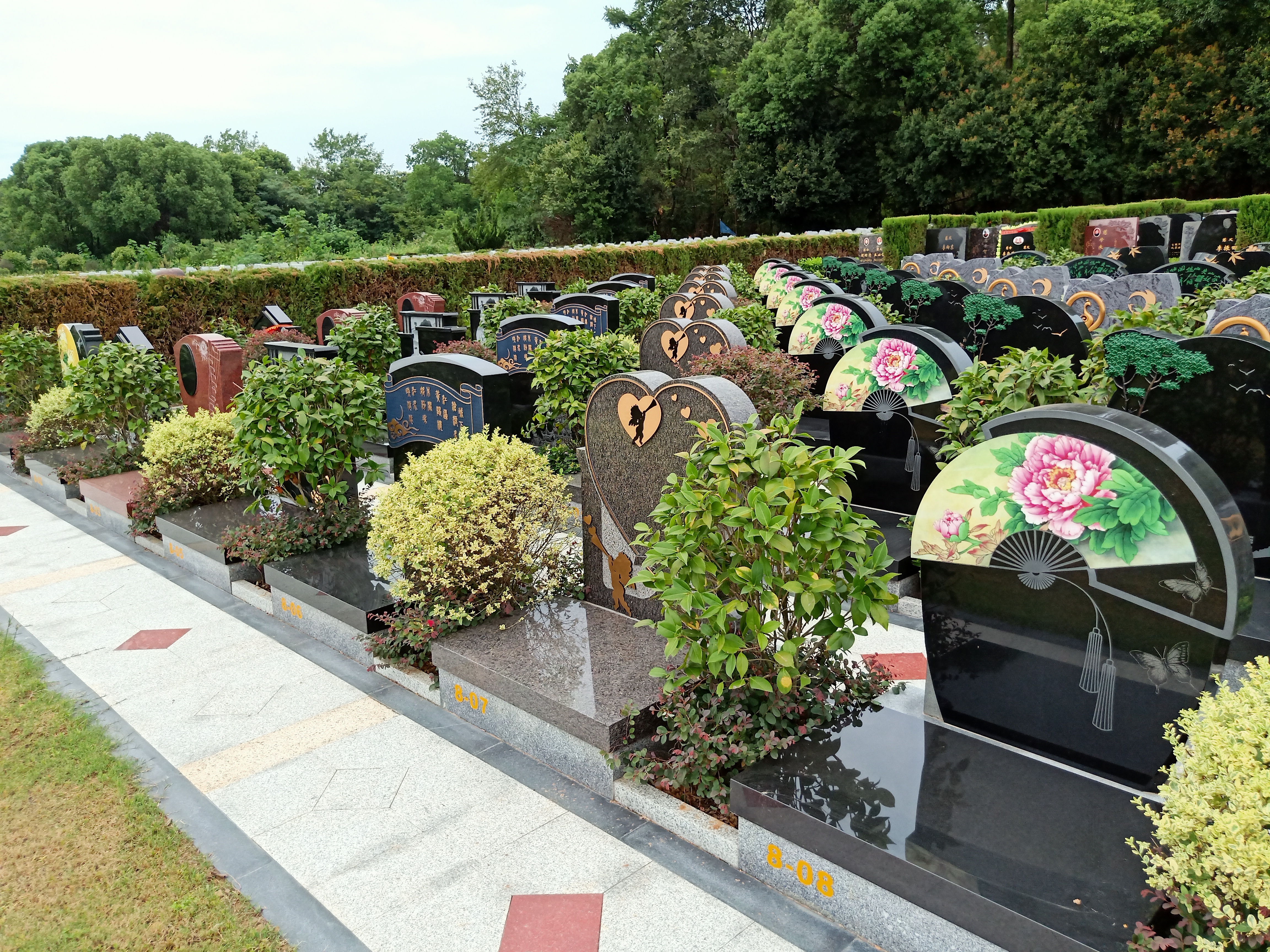 壹号娱乐 - NG大舞台,有梦你就来