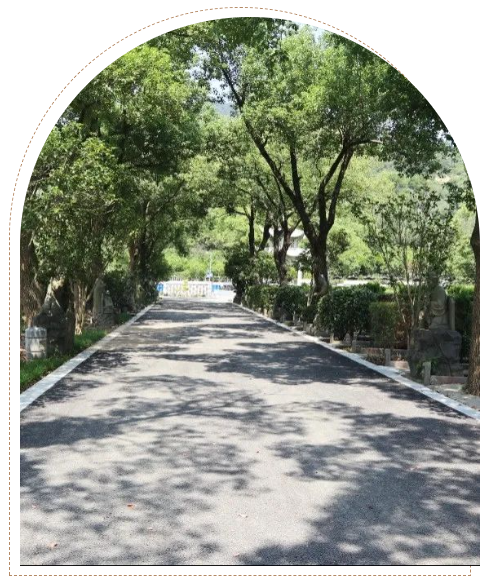 壹号娱乐 - NG大舞台,有梦你就来